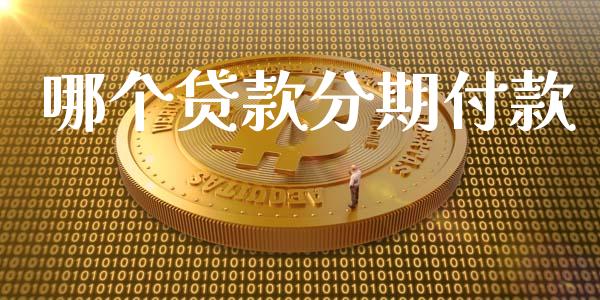 哪个贷款分期付款_https://wap.fcdydaikuan.com_期货品种_第1张