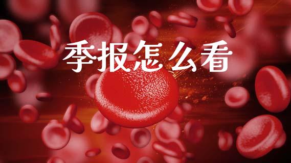 季报怎么看_https://wap.fcdydaikuan.com_国际投资_第1张