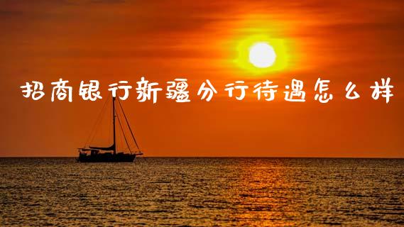 招商银行新疆分行待遇怎么样_https://wap.fcdydaikuan.com_金融机构_第1张