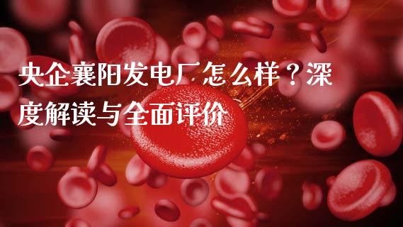 央企襄阳发电厂怎么样？深度解读与全面评价_https://wap.fcdydaikuan.com_理财顾问_第1张