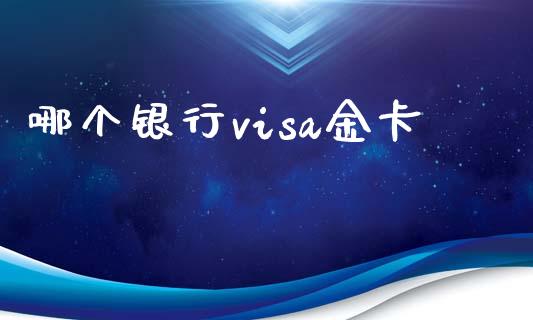 哪个银行visa金卡_https://wap.fcdydaikuan.com_投资策略_第1张
