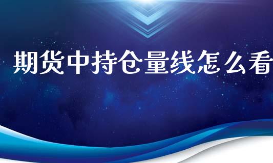 期货中持仓量线怎么看_https://wap.fcdydaikuan.com_国际投资_第1张
