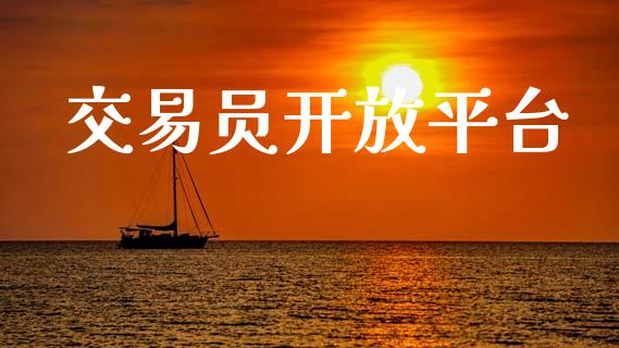 交易员开放平台_https://wap.fcdydaikuan.com_投资策略_第1张