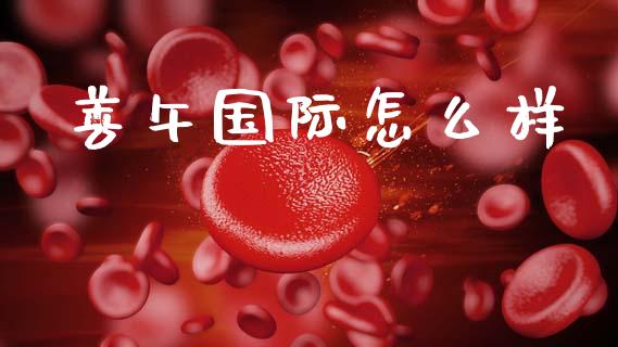 善午国际怎么样_https://wap.fcdydaikuan.com_理财顾问_第1张