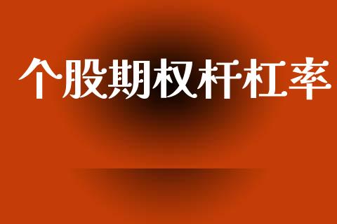 个股期权杆杠率_https://wap.fcdydaikuan.com_金融机构_第1张
