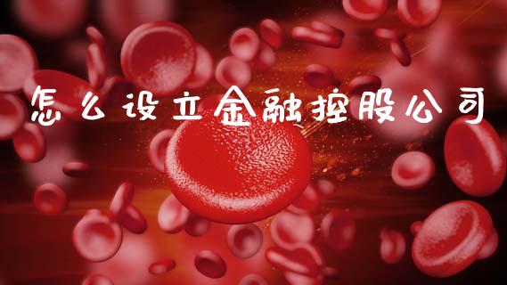 怎么设立金融控股公司_https://wap.fcdydaikuan.com_金融机构_第1张