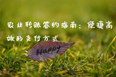 农业转账签约指南：便捷高效的支付方式_https://wap.fcdydaikuan.com_国际投资_第1张