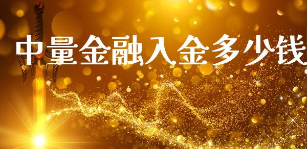 中量金融入金多少钱_https://wap.fcdydaikuan.com_理财顾问_第1张