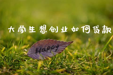 大学生想创业如何贷款_https://wap.fcdydaikuan.com_期货品种_第1张