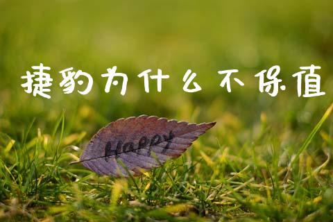 捷豹为什么不保值_https://wap.fcdydaikuan.com_金融机构_第1张