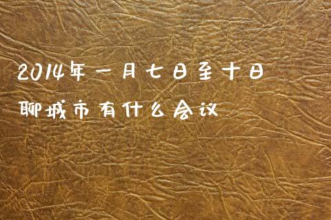2014年一月七日至十日聊城市有什么会议_https://wap.fcdydaikuan.com_新股数据_第1张