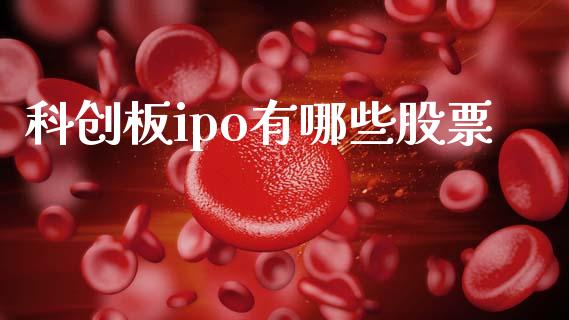 科创板ipo有哪些股票_https://wap.fcdydaikuan.com_新股数据_第1张