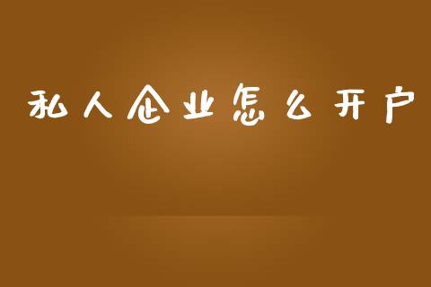 私人企业怎么开户_https://wap.fcdydaikuan.com_新股数据_第1张