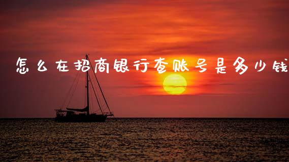 怎么在招商银行查账号是多少钱_https://wap.fcdydaikuan.com_投资策略_第1张