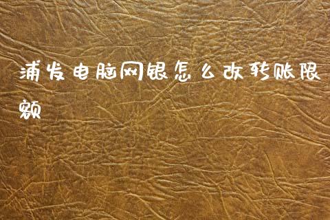 浦发电脑网银怎么改转账限额_https://wap.fcdydaikuan.com_期货品种_第1张