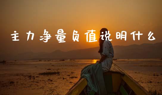 主力净量负值说明什么_https://wap.fcdydaikuan.com_投资策略_第1张