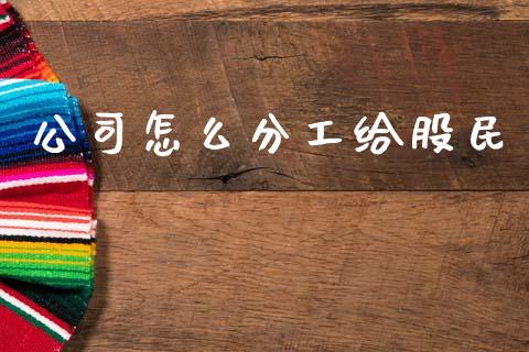 公司怎么分工给股民_https://wap.fcdydaikuan.com_国际投资_第1张