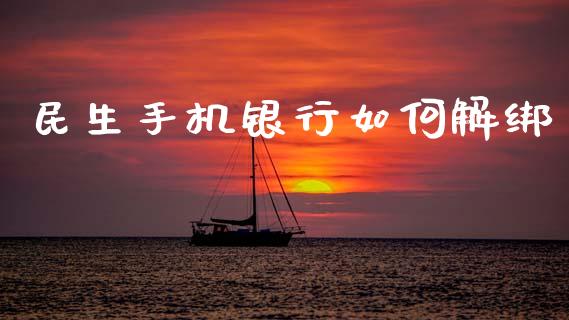 民生手机银行如何解绑_https://wap.fcdydaikuan.com_国际投资_第1张