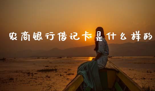 农商银行借记卡是什么样的_https://wap.fcdydaikuan.com_国际投资_第1张