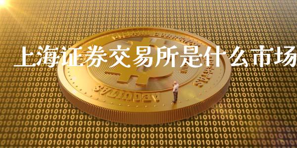 上海证券交易所是什么市场_https://wap.fcdydaikuan.com_国际投资_第1张