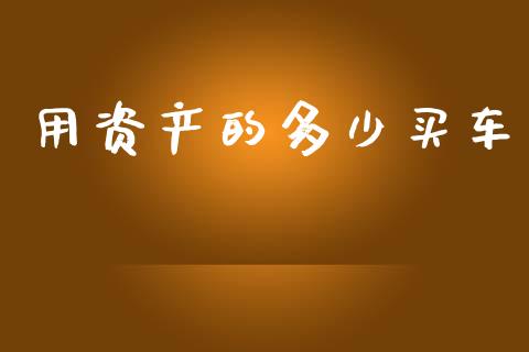 用资产的多少买车_https://wap.fcdydaikuan.com_投资策略_第1张