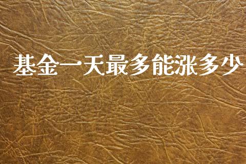 基金一天最多能涨多少_https://wap.fcdydaikuan.com_期货品种_第1张