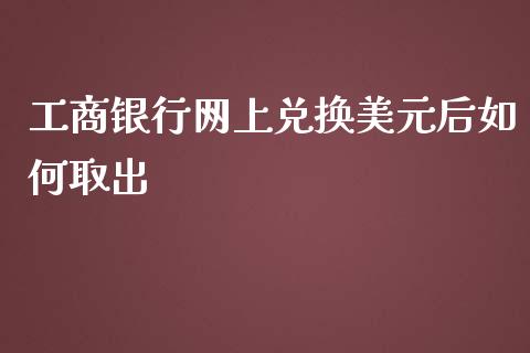 工商银行网上兑换美元后如何取出_https://wap.fcdydaikuan.com_投资策略_第1张