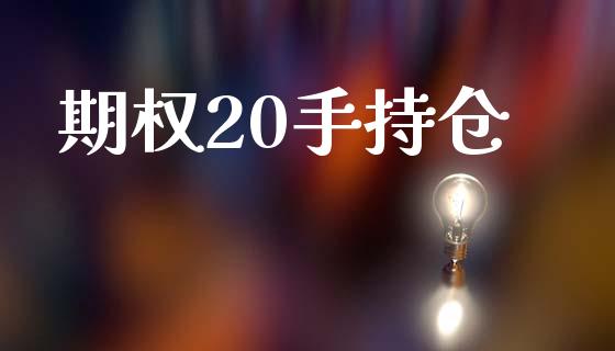 期权20手持仓_https://wap.fcdydaikuan.com_新股数据_第1张