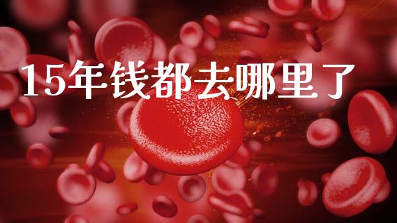 15年钱都去哪里了_https://wap.fcdydaikuan.com_投资策略_第1张