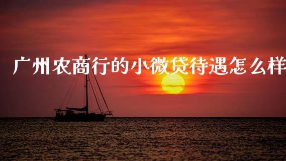 广州农商行的小微贷待遇怎么样_https://wap.fcdydaikuan.com_金融机构_第1张