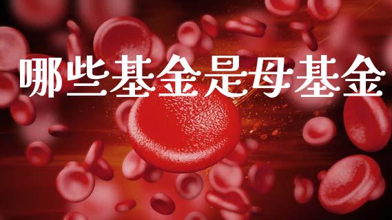 哪些基金是母基金_https://wap.fcdydaikuan.com_新股数据_第1张