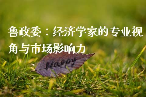 鲁政委：经济学家的专业视角与市场影响力_https://wap.fcdydaikuan.com_国际投资_第1张