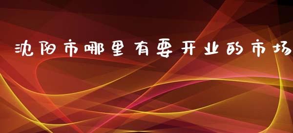 沈阳市哪里有要开业的市场_https://wap.fcdydaikuan.com_投资策略_第1张