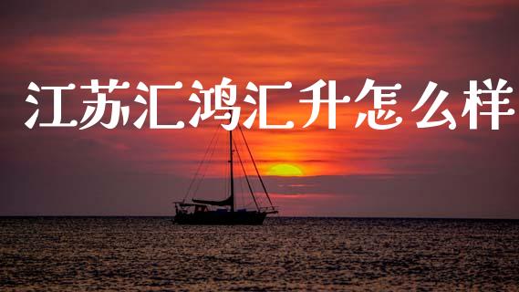 江苏汇鸿汇升怎么样_https://wap.fcdydaikuan.com_新股数据_第1张