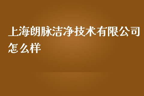 上海朗脉洁净技术有限公司怎么样_https://wap.fcdydaikuan.com_金融机构_第1张