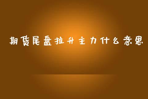 期货尾盘拉升主力什么意思_https://wap.fcdydaikuan.com_金融机构_第1张