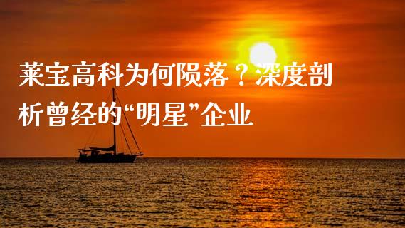 莱宝高科为何陨落？深度剖析曾经的“明星”企业_https://wap.fcdydaikuan.com_期货品种_第1张