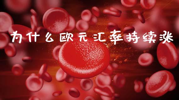 为什么欧元汇率持续涨_https://wap.fcdydaikuan.com_金融机构_第1张