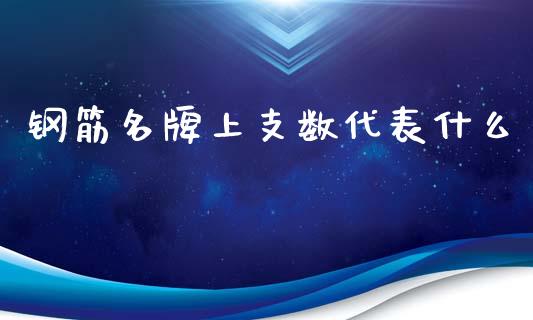 钢筋名牌上支数代表什么_https://wap.fcdydaikuan.com_投资策略_第1张
