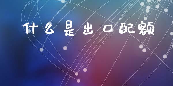 什么是出口配额_https://wap.fcdydaikuan.com_金融机构_第1张