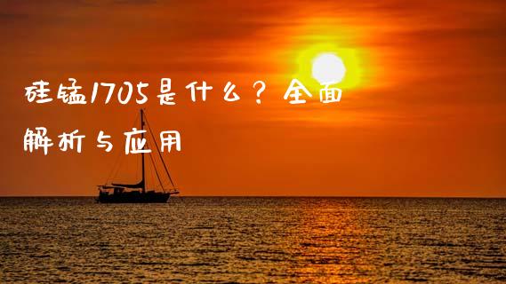 硅锰1705是什么？全面解析与应用_https://wap.fcdydaikuan.com_理财顾问_第1张