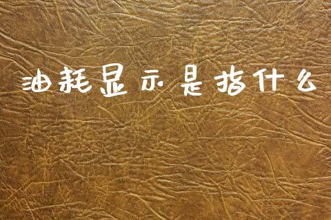 油耗显示是指什么_https://wap.fcdydaikuan.com_期货品种_第1张