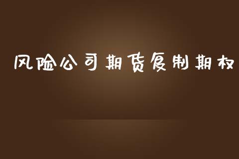 风险公司期货复制期权_https://wap.fcdydaikuan.com_期货品种_第1张