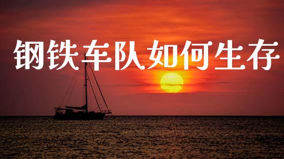 钢铁车队如何生存_https://wap.fcdydaikuan.com_金融机构_第1张
