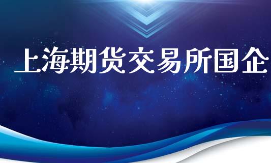 上海期货交易所国企_https://wap.fcdydaikuan.com_投资策略_第1张