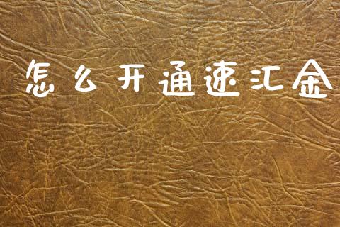 怎么开通速汇金_https://wap.fcdydaikuan.com_国际投资_第1张