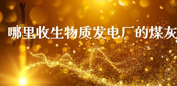哪里收生物质发电厂的煤灰_https://wap.fcdydaikuan.com_新股数据_第1张
