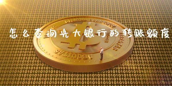 怎么查询光大银行的转账额度_https://wap.fcdydaikuan.com_期货品种_第1张