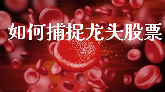 如何捕捉龙头股票_https://wap.fcdydaikuan.com_新股数据_第1张
