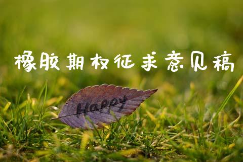 橡胶期权征求意见稿_https://wap.fcdydaikuan.com_理财顾问_第1张